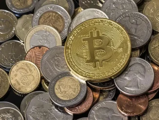 7 Pemilik Bitcoin Terbesar 2026, Siapa Paling Dominan