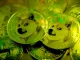 DOGE Dekati $0.10, Level Kritis Ini Jadi Penentu Arah