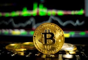 Kenali 6 Jenis Crypto Wajib Sebelum Mulai Investasi Kamu