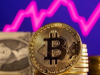 Kenali 6 Jenis Crypto Wajib Sebelum Mulai Investasi Kamu