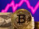 Kenali 6 Jenis Crypto Wajib Sebelum Mulai Investasi Kamu