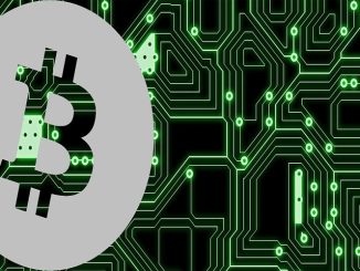 Panduan Aman Menyimpan Aset Crypto untuk Pemula