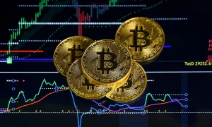 Panduan Lengkap Prediksi Harga Bitcoin untuk Investor Baru