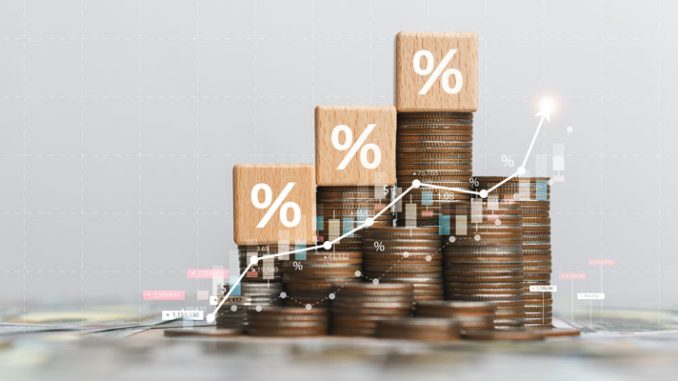 Panduan Pilihan Investasi Jangka Panjang di Masa Depan Cerah