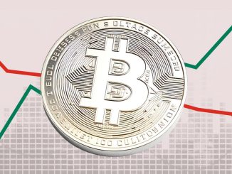 Panduan Prediksi Harga Bitcoin untuk Investor Pemula