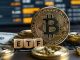 Perbandingan ETF Bitcoin dan Bitcoin Mana Lebih Untung