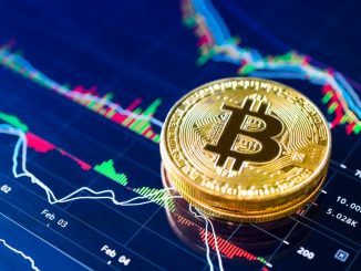 Strategi Tepat Menentukan Waktu Beli Bitcoin Agar Untung