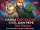Harga Dogecoin, SHIB, dan PEPE Tertekan, Ini Sinyalnya