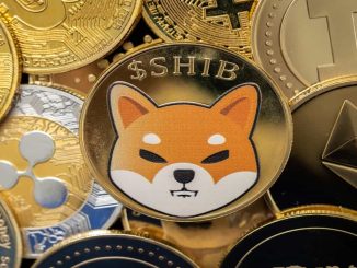 Shiba Inu SHIB Bersinar Lagi? Sinyal Bullish Mulai Bermunculan