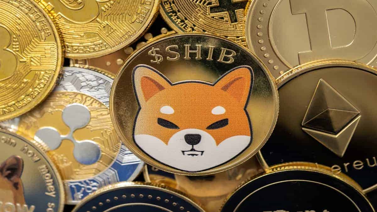 Shiba Inu SHIB Bersinar Lagi? Sinyal Bullish Mulai Bermunculan